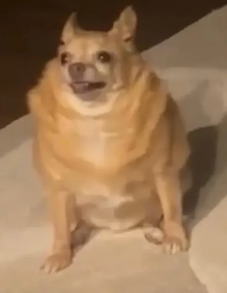 702latino profile photo