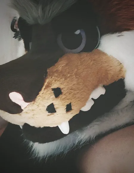 Alec Coyote profile photo
