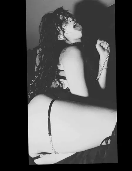 Allycat profile photo