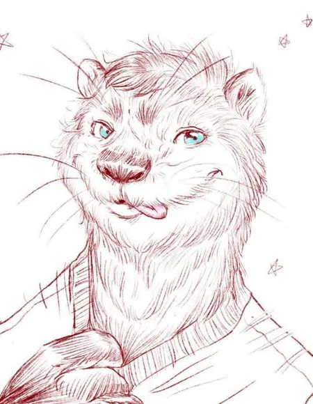 Amateur Otter profile photo