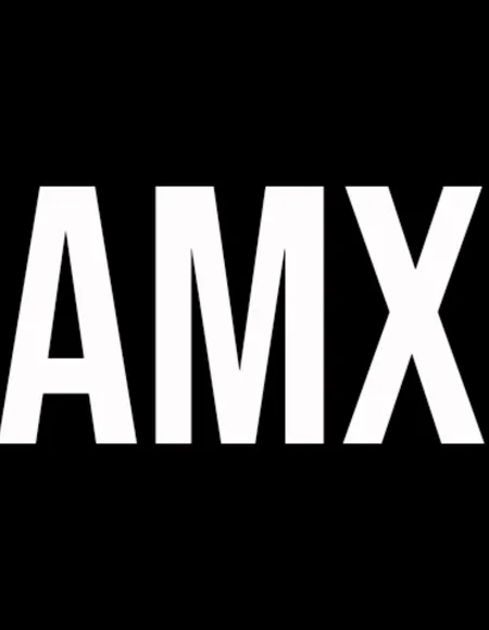 AmXModels profile photo