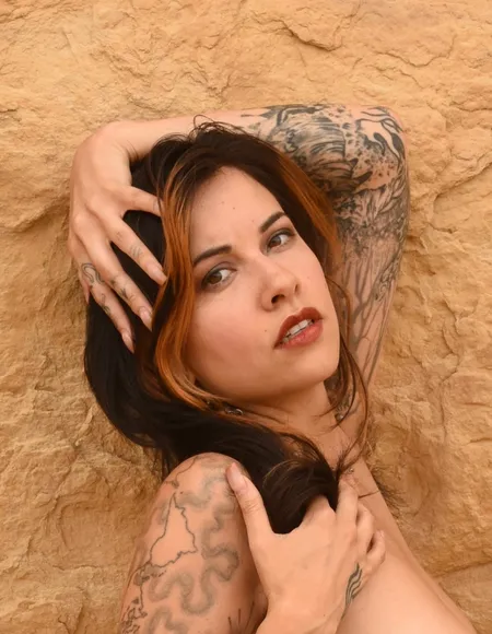 Cat's Meow profile photo