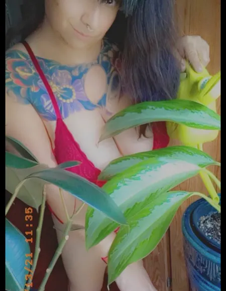 Betty Bangs profile photo