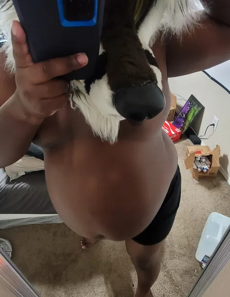 SebastianBelly profile photo