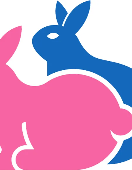 Boobs Bunnies profile photo