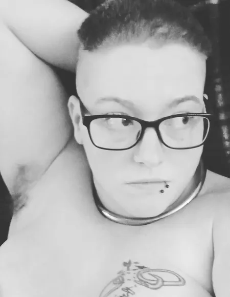BratASaurus profile photo