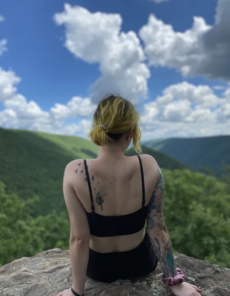 Songbird profile photo