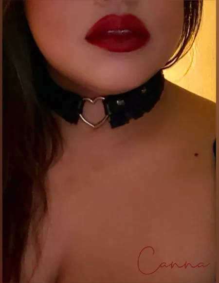 Canna Curves profile photo