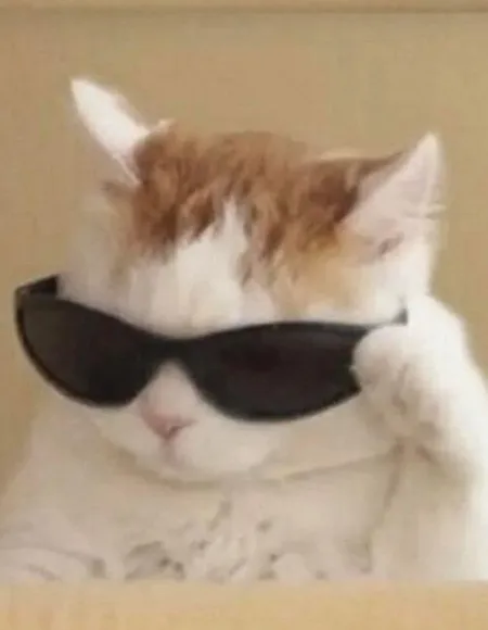 มน.ท่ีแปลว่าแมวน้อย profile photo
