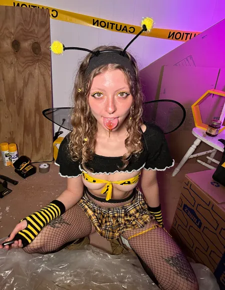Crazie Kitten profile photo
