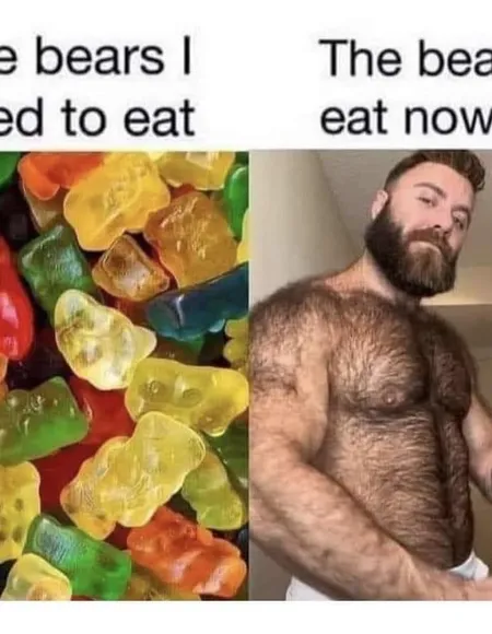 bearlovergaymer profile photo
