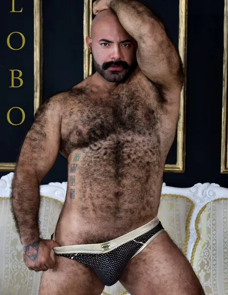 Lobo Free profile photo