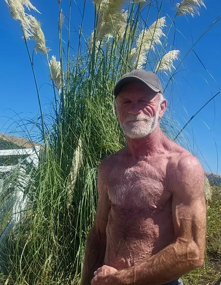 Daddy Plow profile photo
