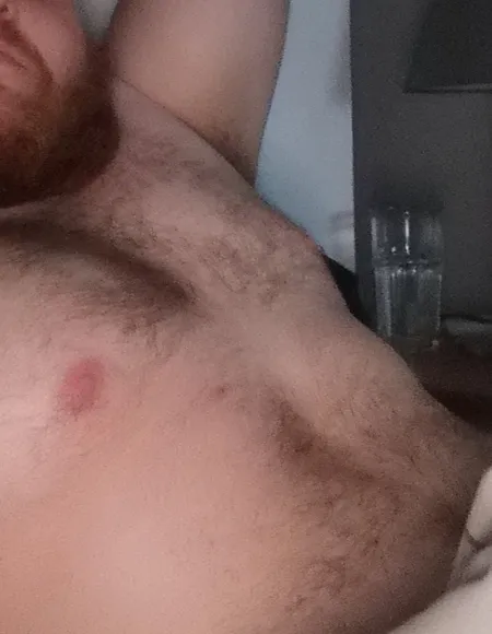 BeardedBear profile photo