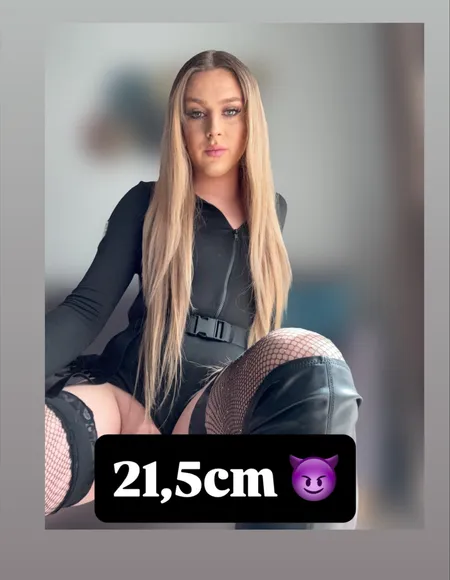 DAJA TS profile photo