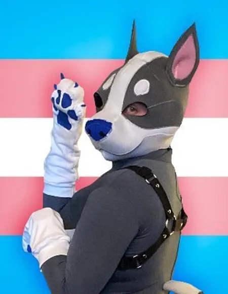 DonutPupper profile photo