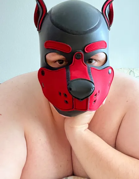 Germansuperchubby profile photo