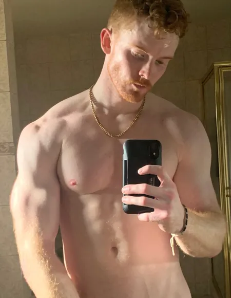 Gingerade profile photo