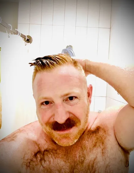 Gingerbear profile photo