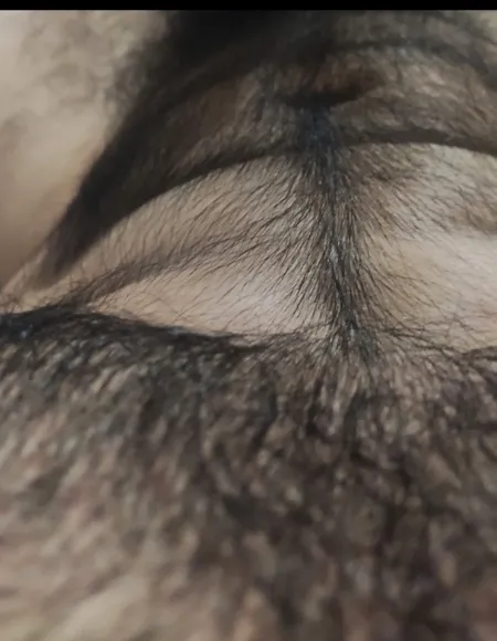 🦡 Guaxxinim 🍆 profile photo