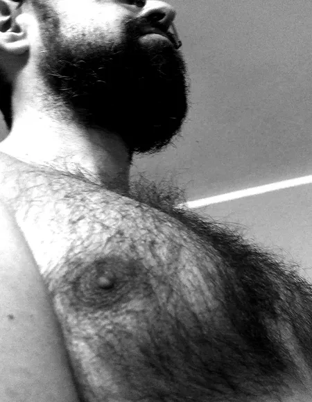 Hairy Teddy 🐻 profile photo