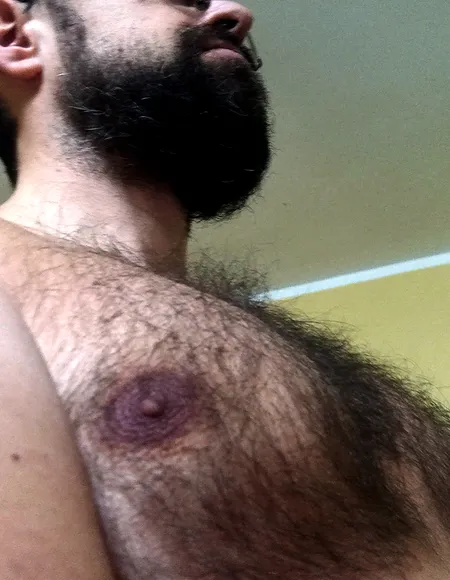 Hairy Teddy 🐻 VIP profile photo