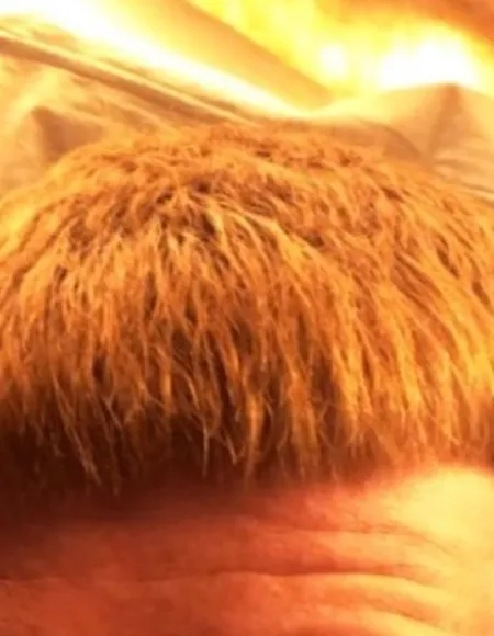 Hard Ginger Cock! profile photo