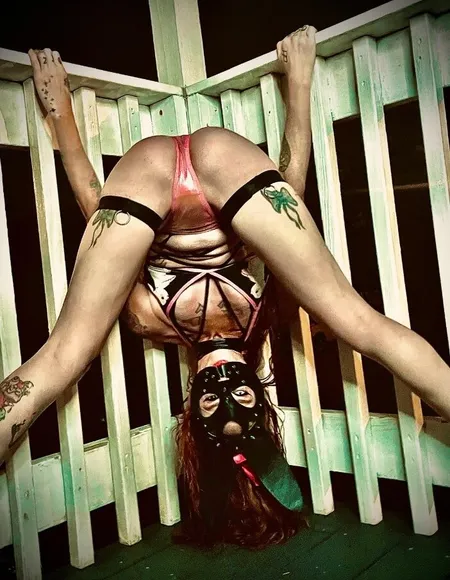 HARLEY profile photo