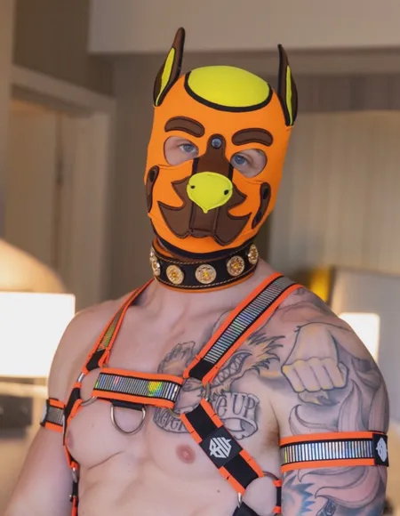 Himbohyena profile photo