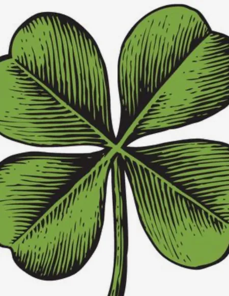 Clover profile photo