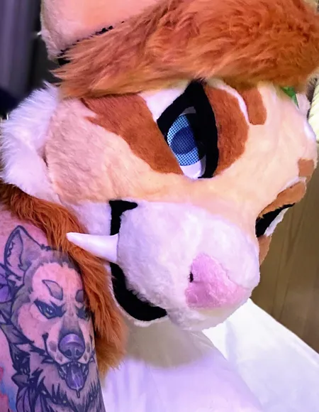 KabsCorner✨ profile photo