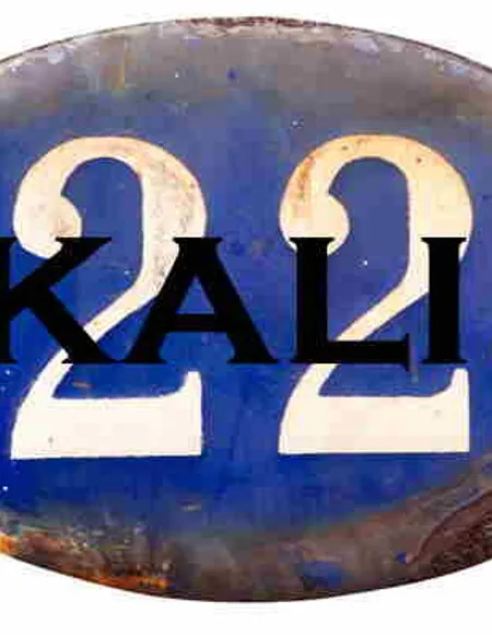 🇮🇹 Kalinero 22 🇮🇹 profile photo