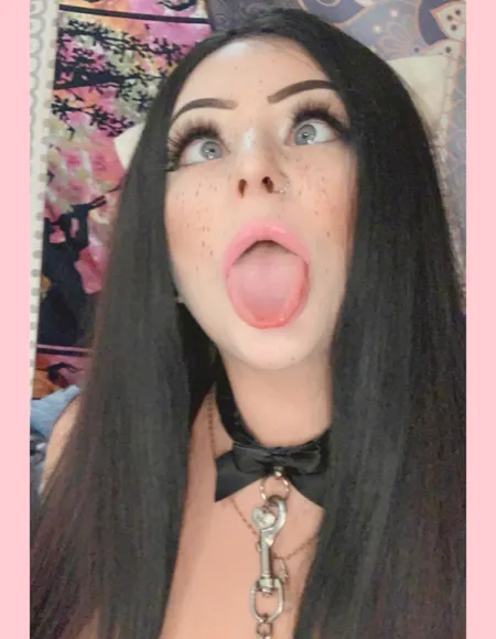 Kitty profile photo