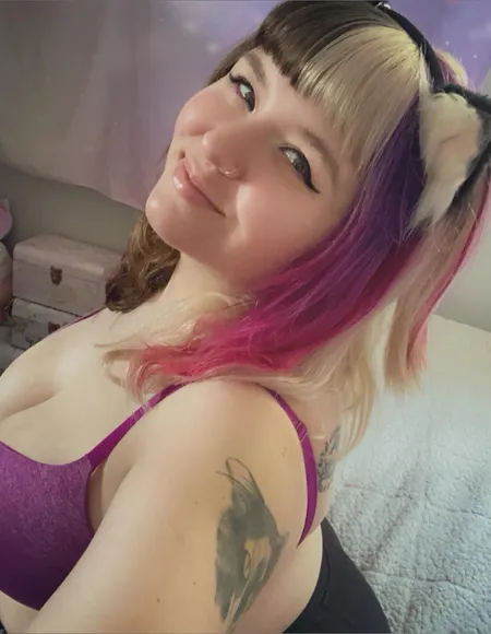 Kittykat4u 🐱 profile photo