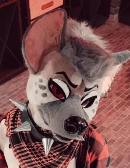 𖤐 Ryff Hyena 𖤐 🏳️‍⚧️ profile photo