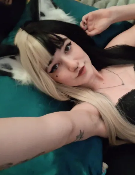 Kyani Kitty profile photo