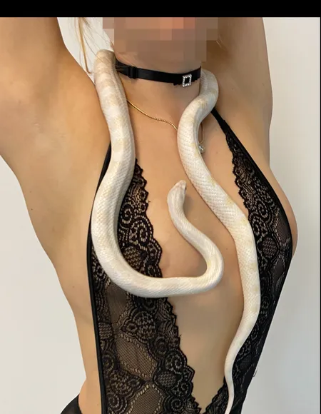 Lacy Lick profile photo