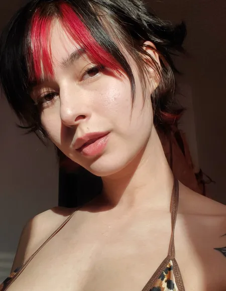 Ilya Bathory profile photo