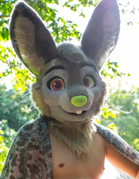 Luteus 💚 profile photo