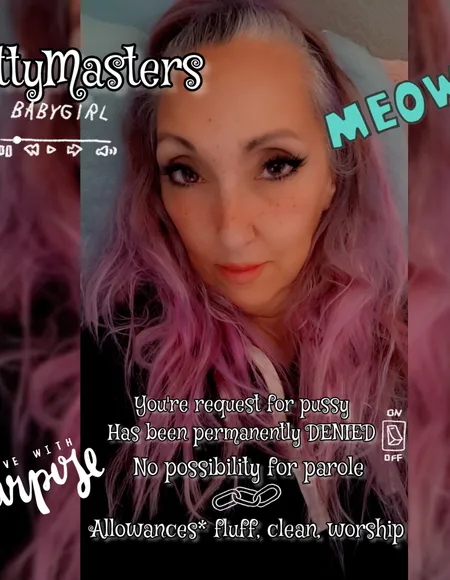 KittyMasters profile photo