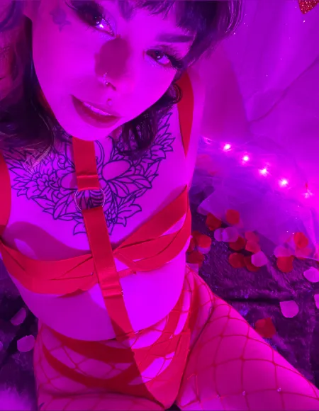 Mango Hoe profile photo
