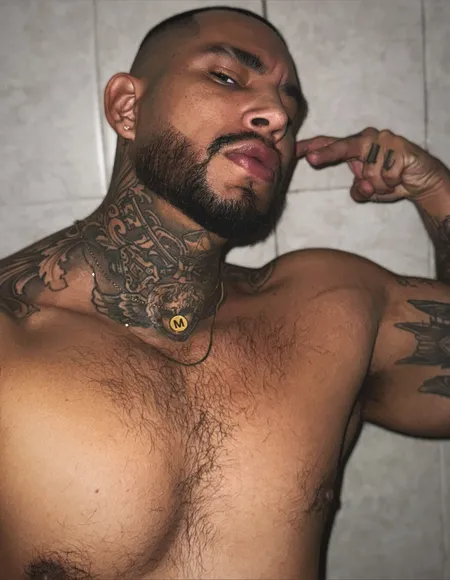 TU CHACAL FAVORITO ⚡️ profile photo
