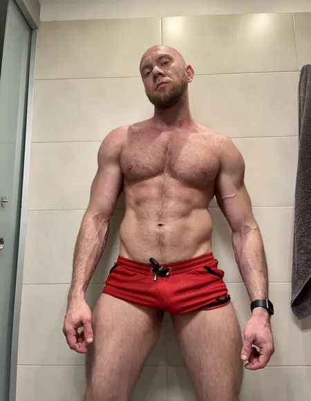 Max Torobull profile photo
