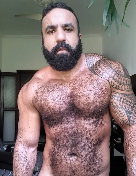 Musclebearbrazil profile photo