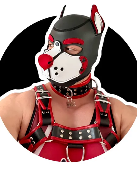 MusclePupRocky profile photo