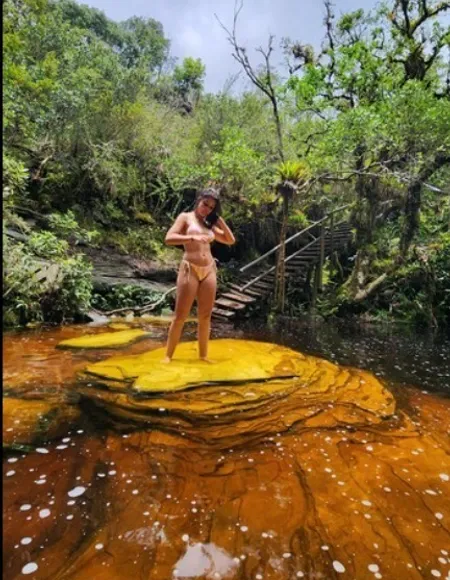 Nicoly Antunes de Carvalho profile photo