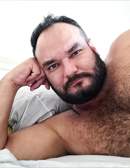 Nimrod Stark profile photo