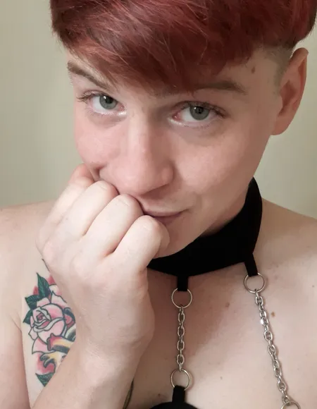 Milo Rose profile photo