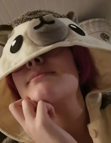 Nordic Kitten <3 profile photo