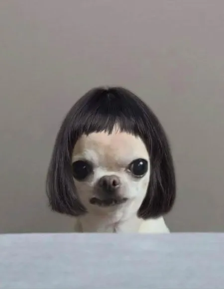 Miriamcitabebe profile photo